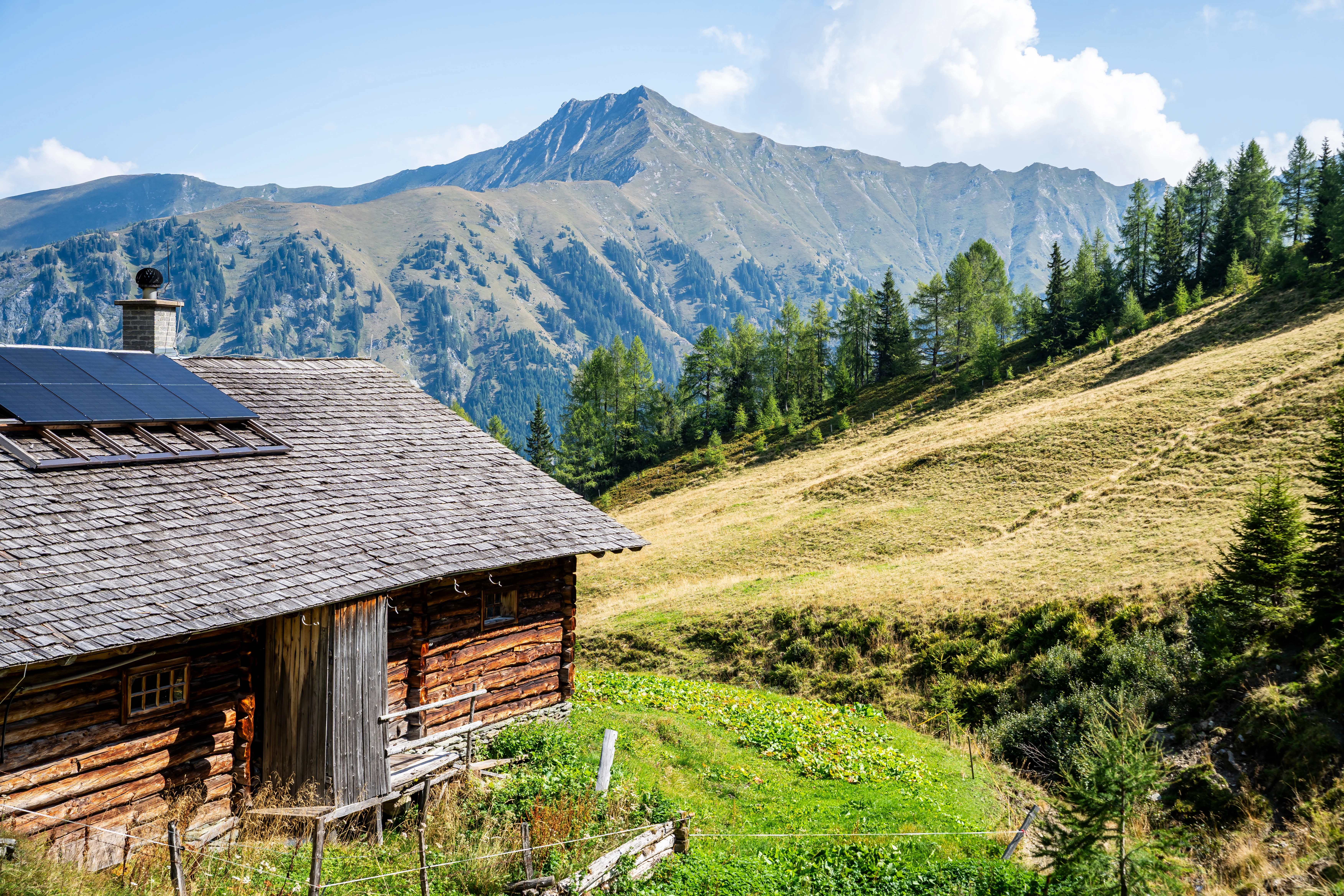 Die Ziach & Candy Bildergalerie