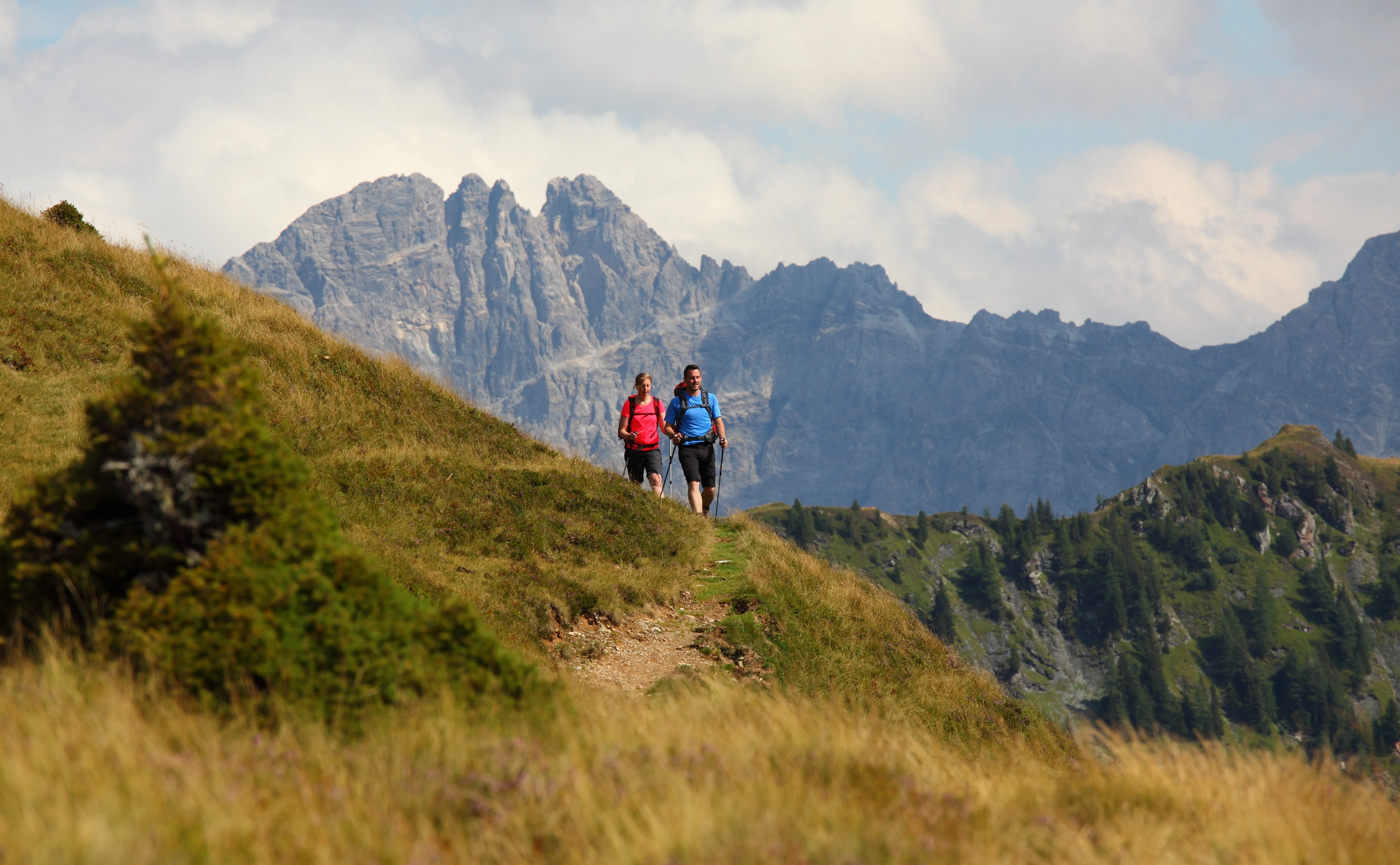 Die Ziach & Candy Bildergalerie