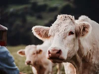 Ein Hotel in Großarl für Aktive | für Genießer | für dich Ein Hotel in Großarl für Aktive | für Genießer | für dich