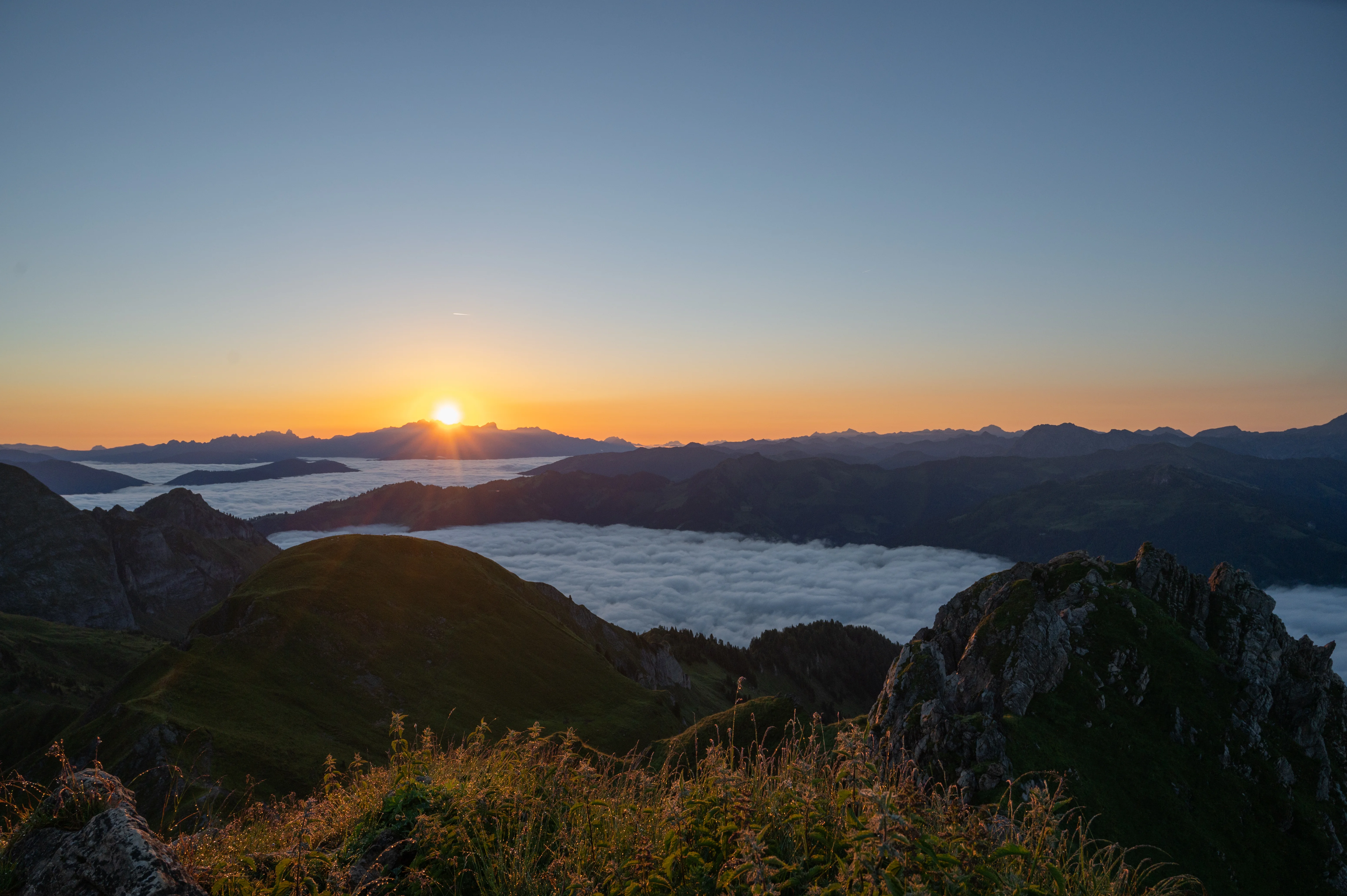 Die Ziach & Candy Bildergalerie