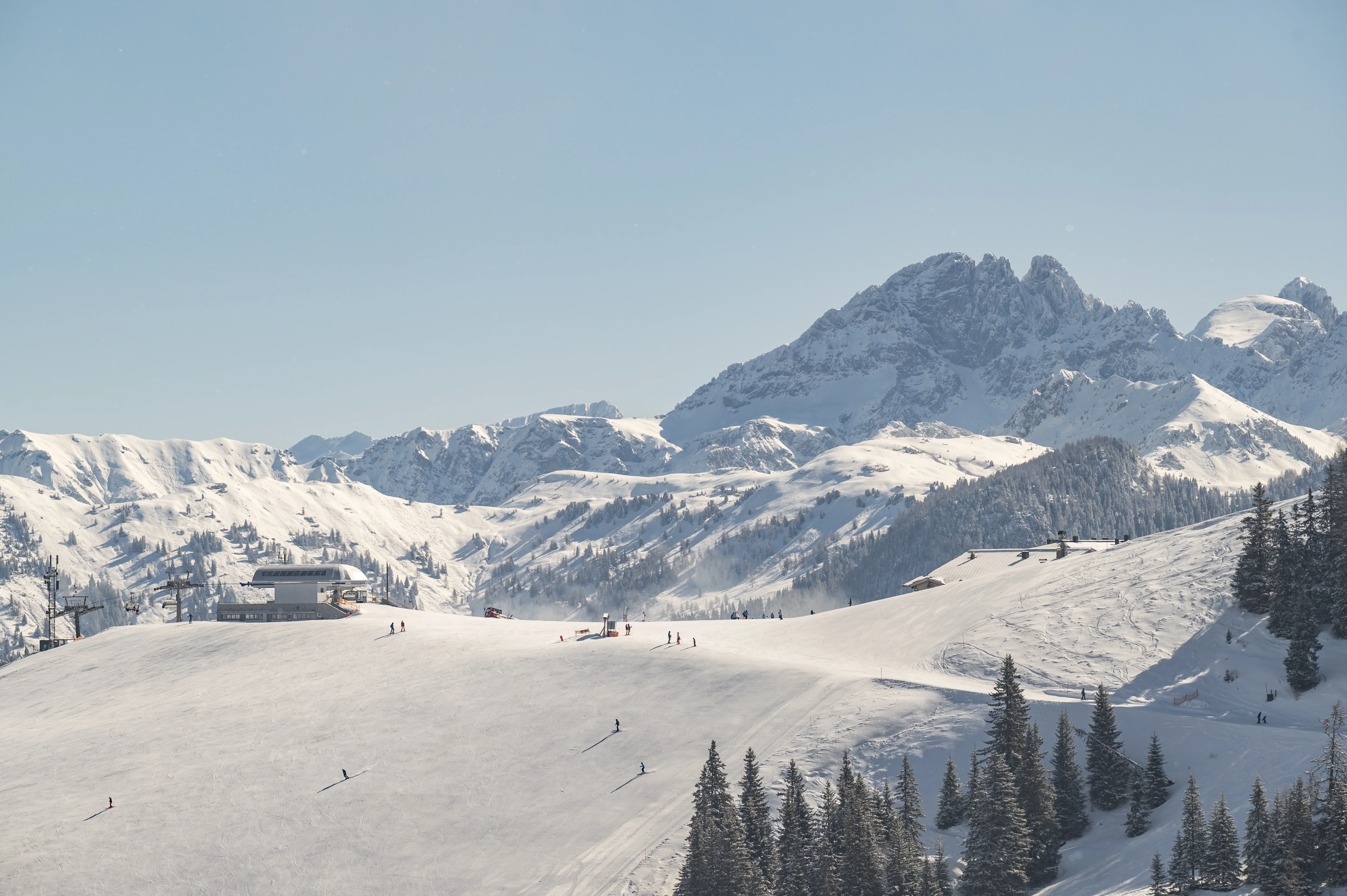 Die Ziach & Candy Bildergalerie