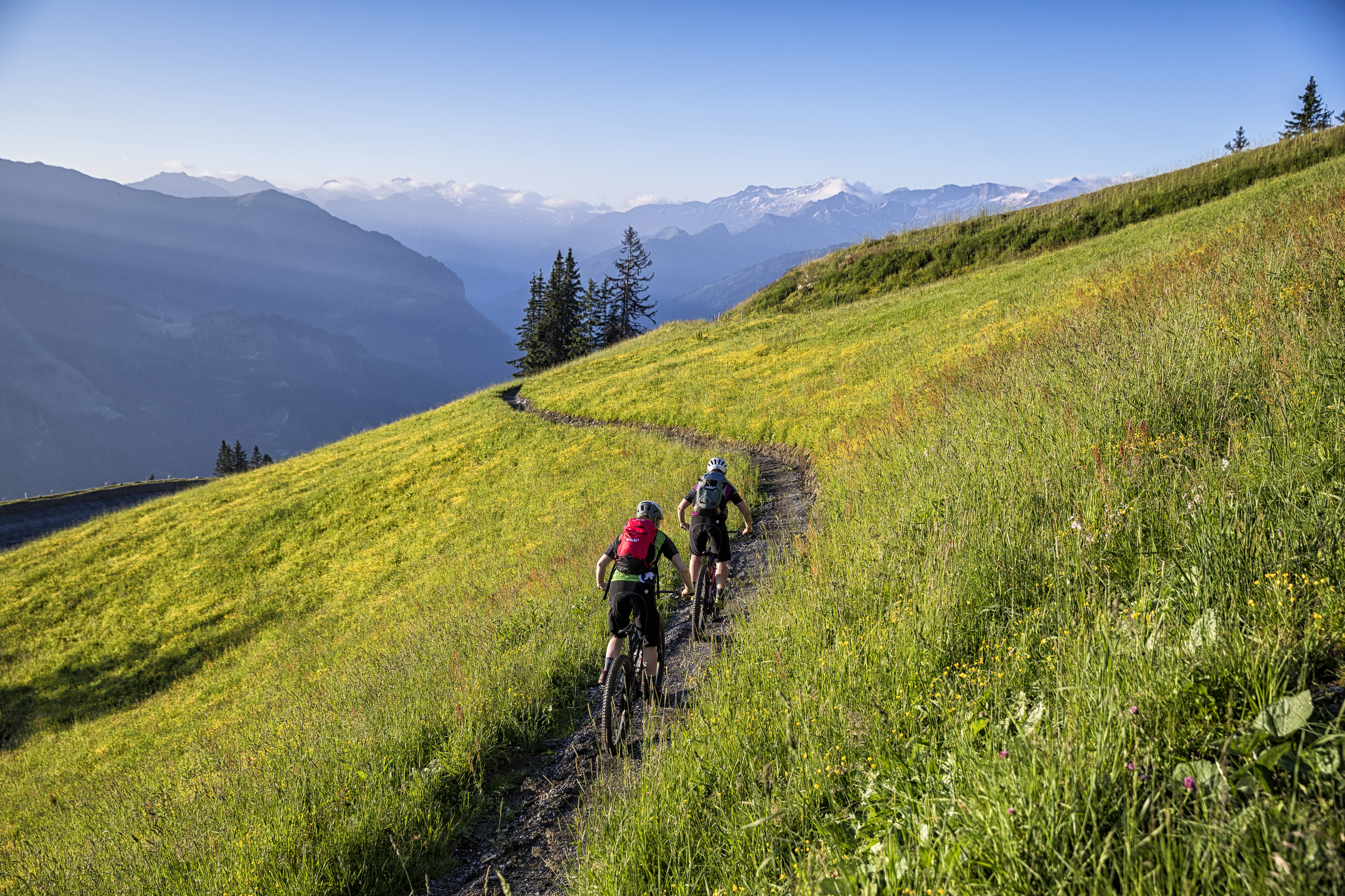 Die Ziach & Candy Bildergalerie