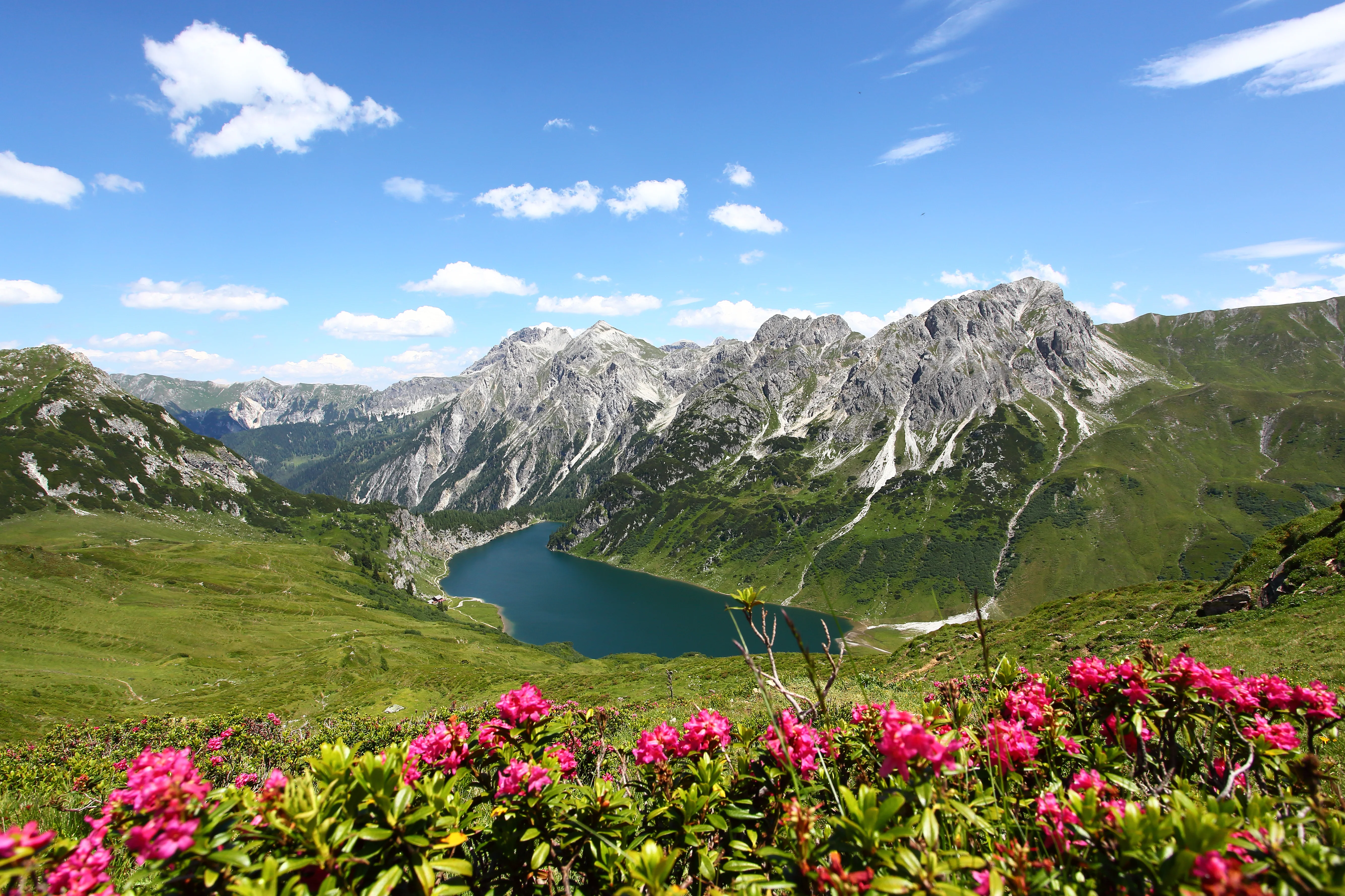 Die Ziach & Candy Bildergalerie