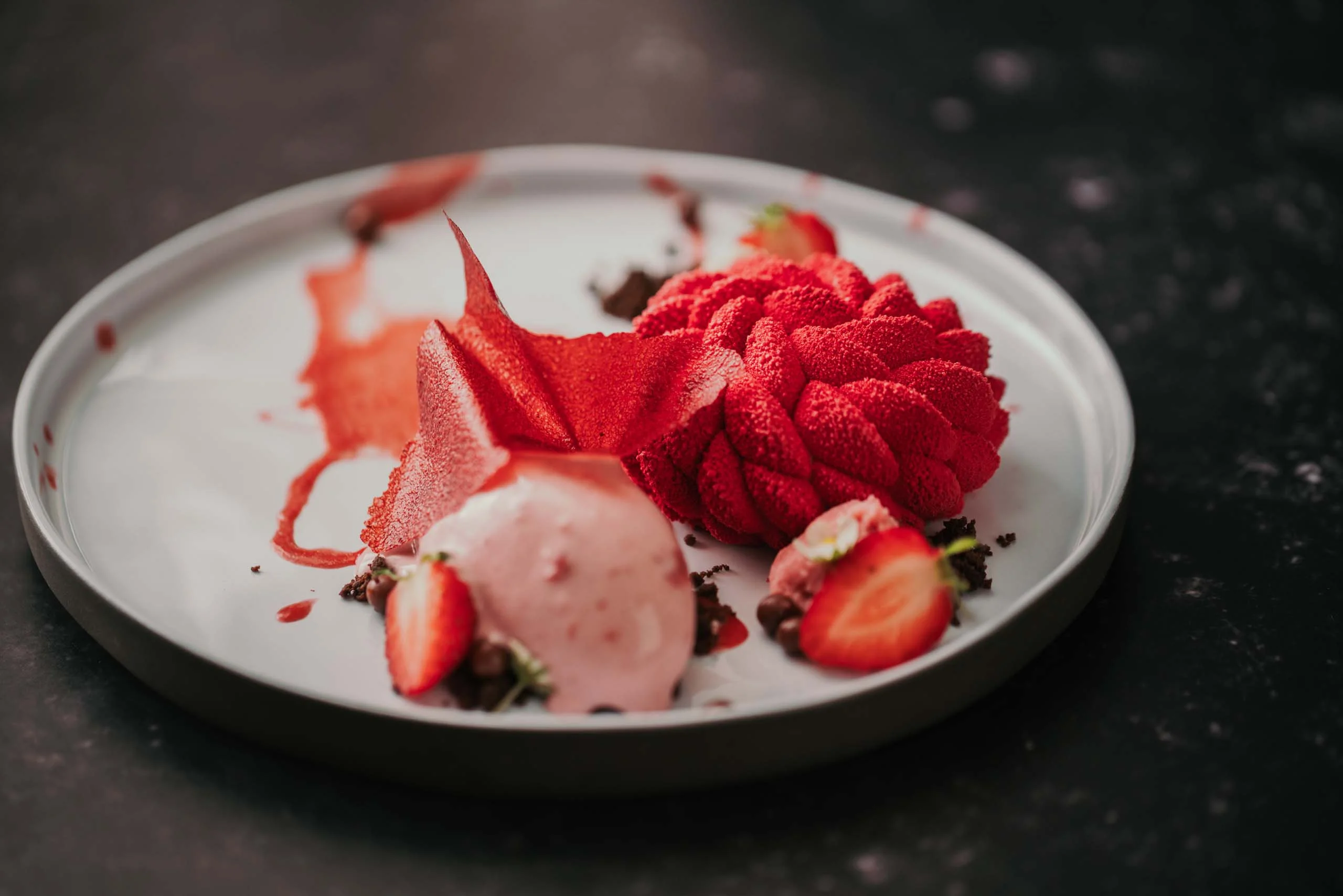 Die Ziach & Candy Bildergalerie