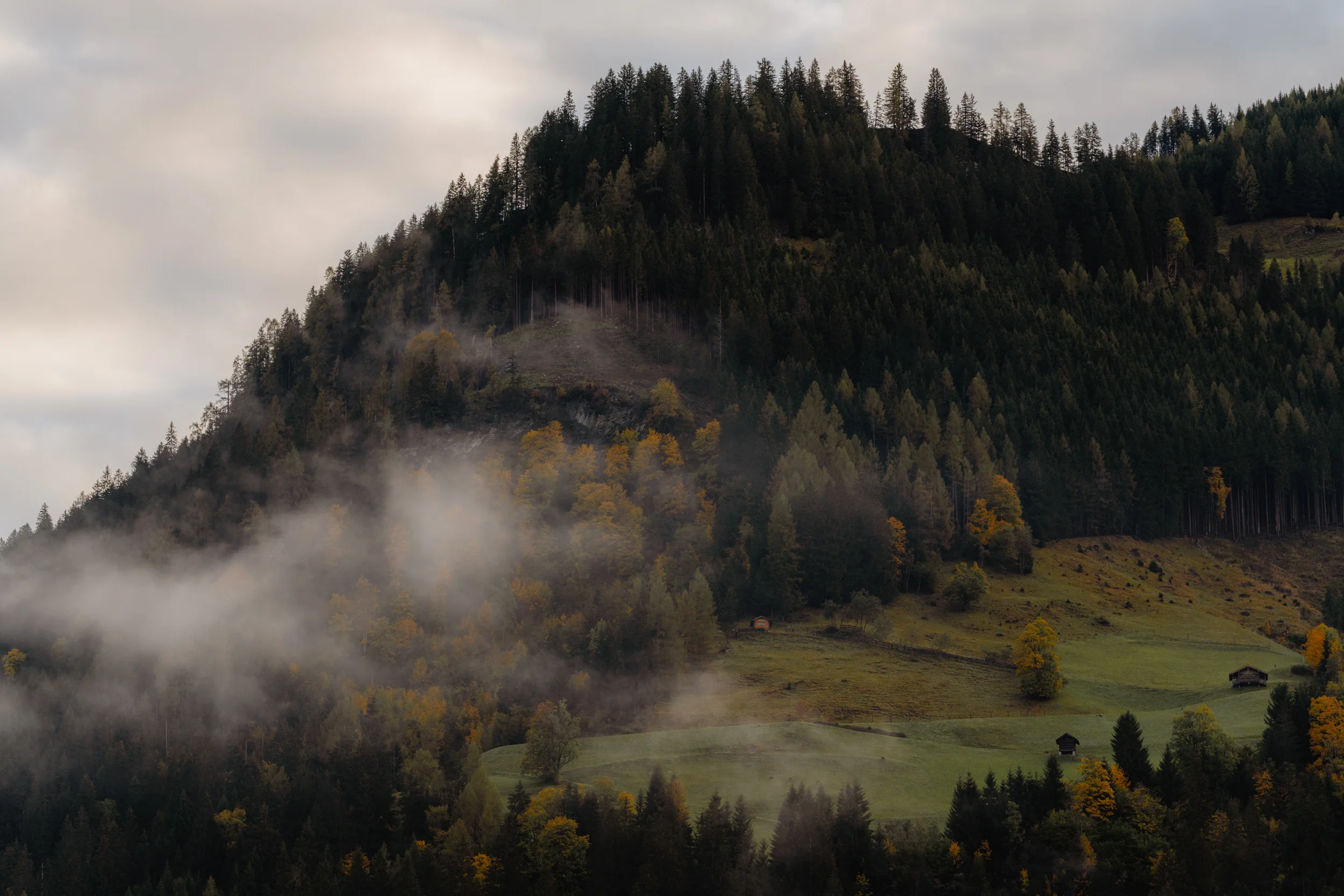 Die Ziach & Candy Bildergalerie