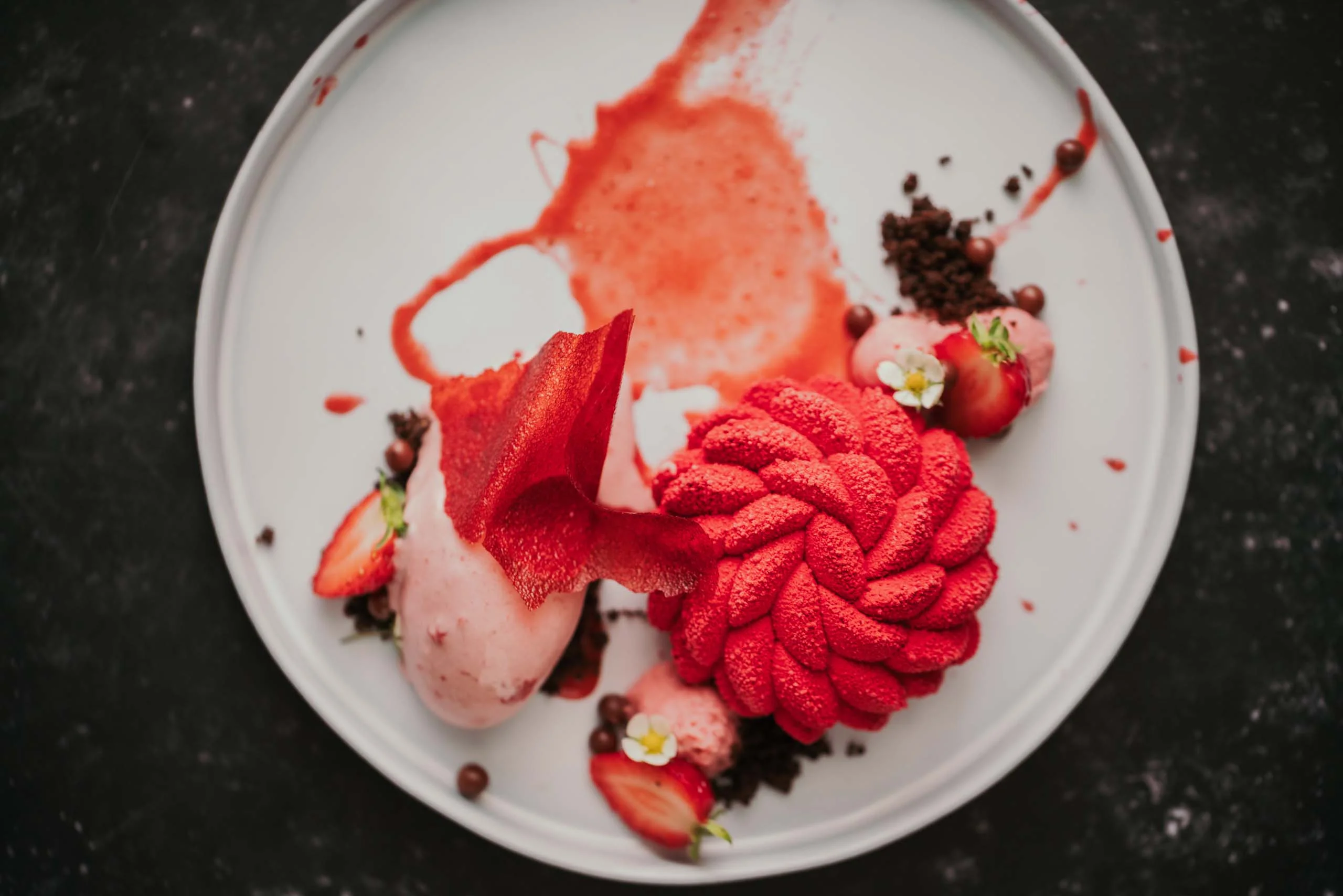 Die Ziach & Candy Bildergalerie