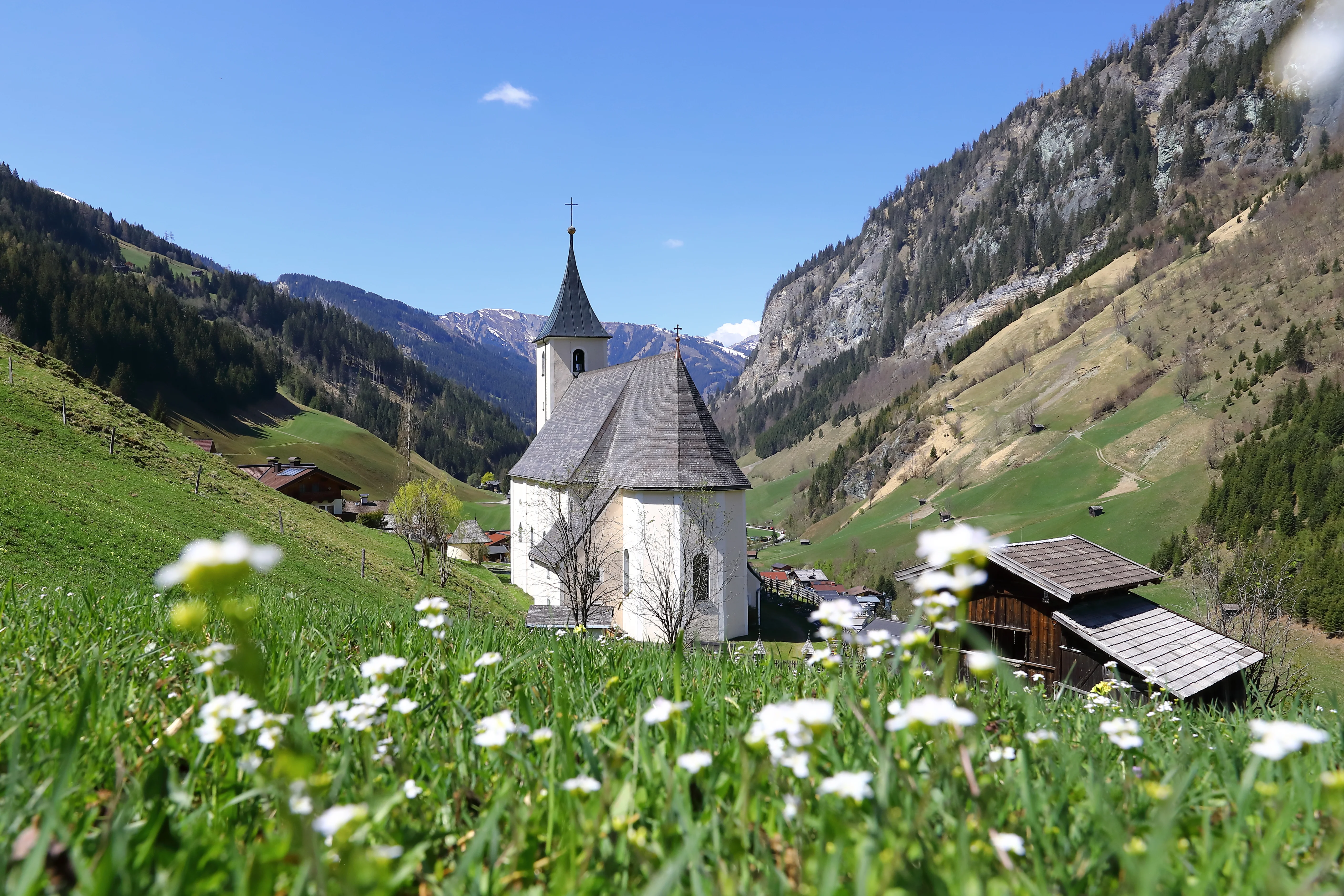 Die Ziach & Candy Bildergalerie