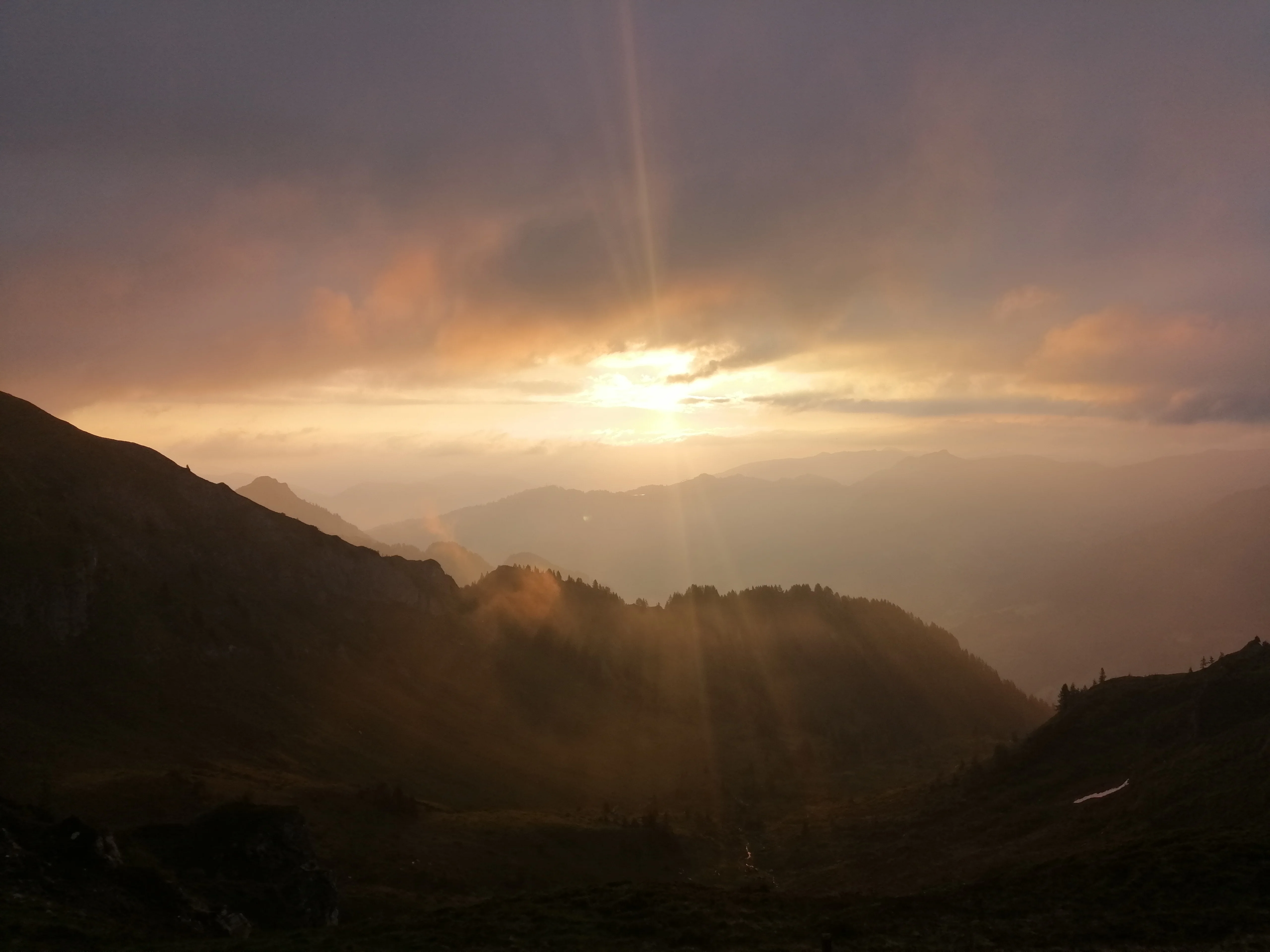 Die Ziach & Candy Bildergalerie