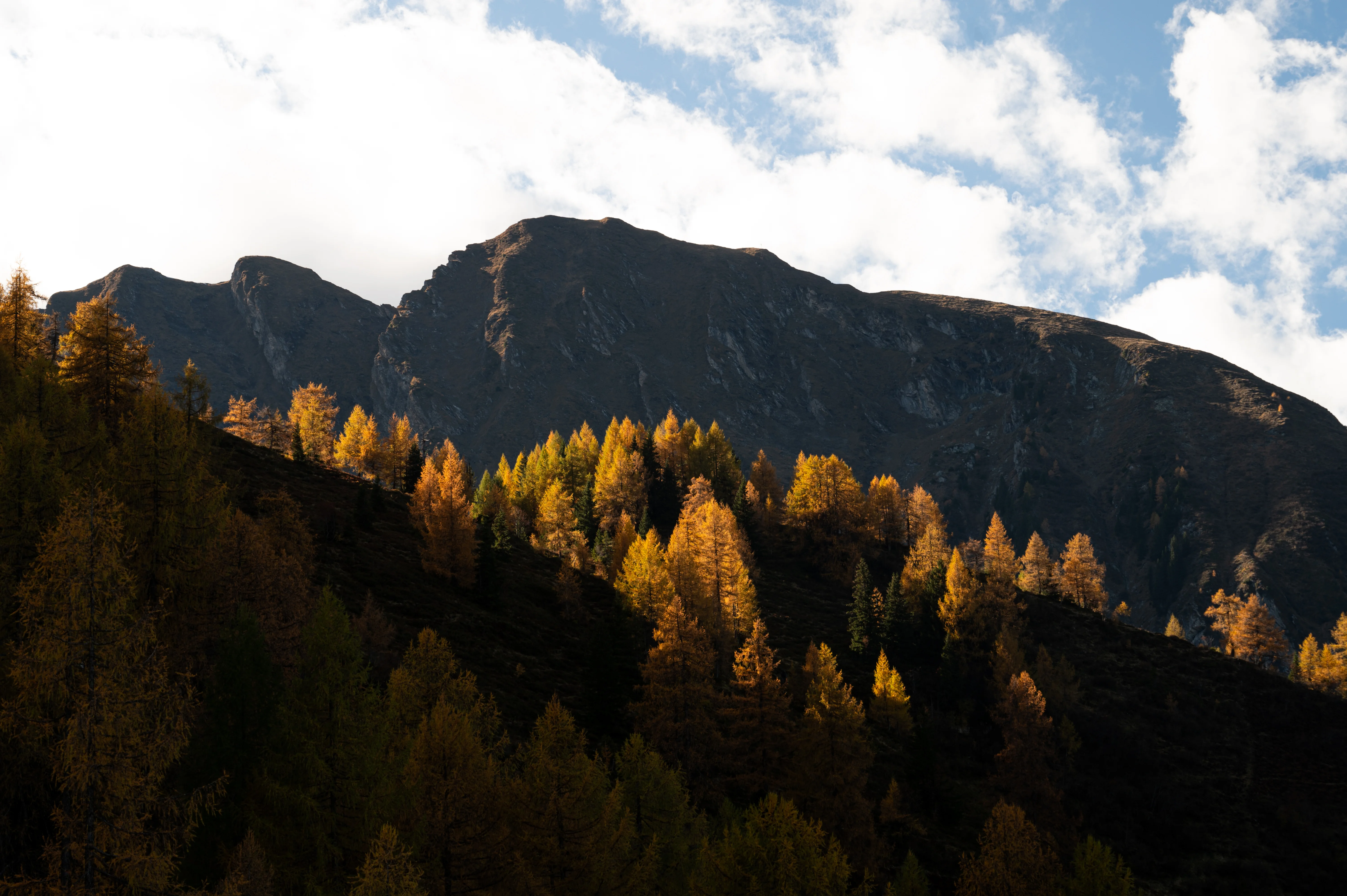 Die Ziach & Candy Bildergalerie