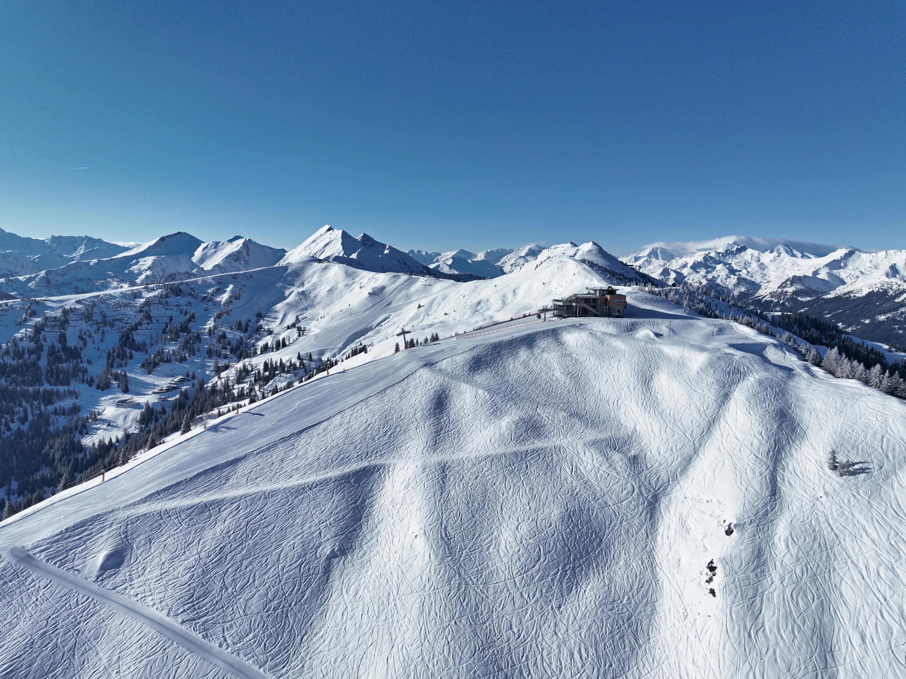 Die Ziach & Candy Bildergalerie