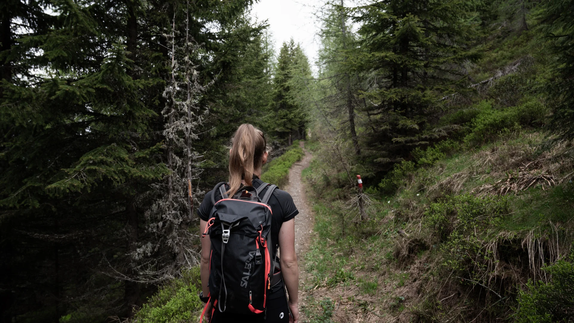 Bergurlaub im Pongau? Im Wanderhotel in Großarl. Bergurlaub im Pongau? Im Wanderhotel in Großarl.