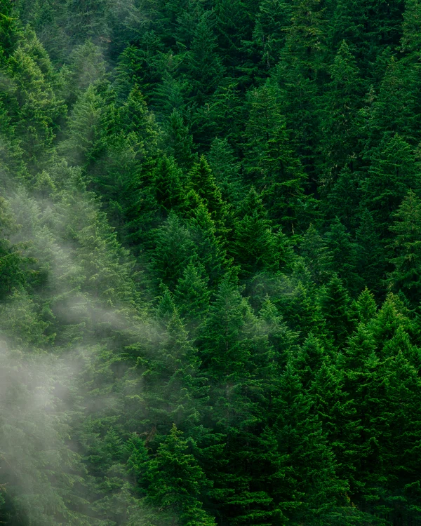 Ein Hotel in Großarl für Aktive | für Genießer | für dich Ein Hotel in Großarl für Aktive | für Genießer | für dich